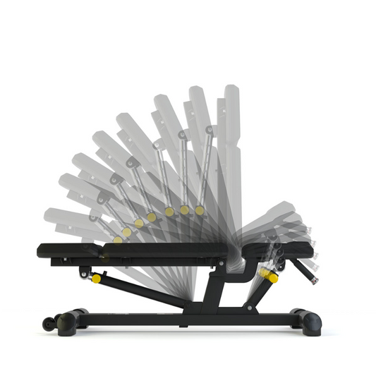 Gray PULSE Fitness Classic Olympic 4 in 1 Rack - With Disc Storage and Adjustable Bench [Black]
